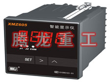 溫度表、數(shù)字顯示儀、濕度表