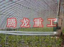 大棚花卉供暖設(shè)備、大棚卉采暖設(shè)備、大棚花卉取暖設(shè)備