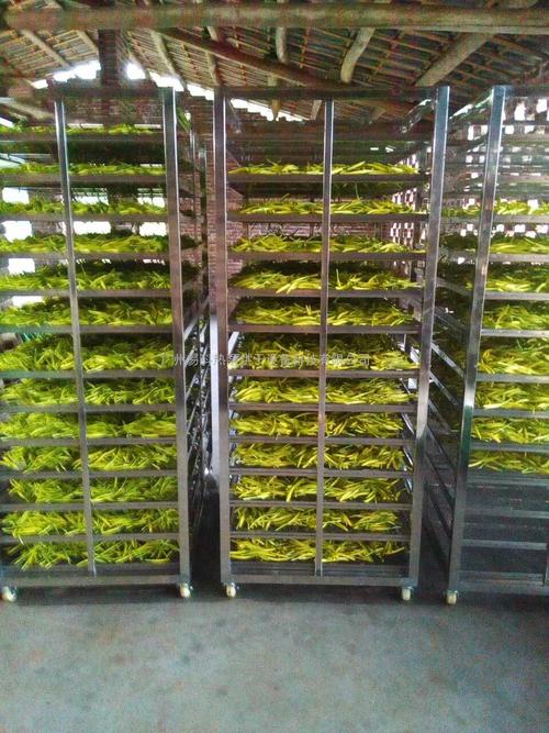 黃花菜烘干機(jī)、黃花菜烘干設(shè)備、黃花菜干燥機(jī)、黃花菜干燥設(shè)備、